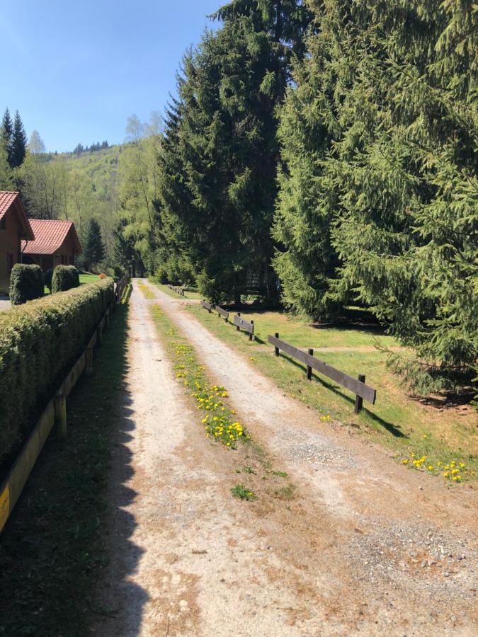 Ferienhaeuser Am Waldschloesschen Lautenthal Dış mekan fotoğraf