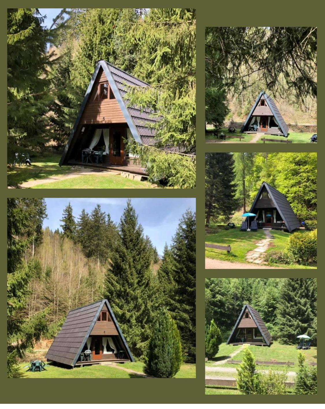 Ferienhaeuser Am Waldschloesschen Lautenthal Dış mekan fotoğraf
