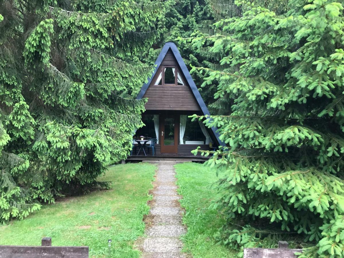 Ferienhaeuser Am Waldschloesschen Lautenthal Dış mekan fotoğraf