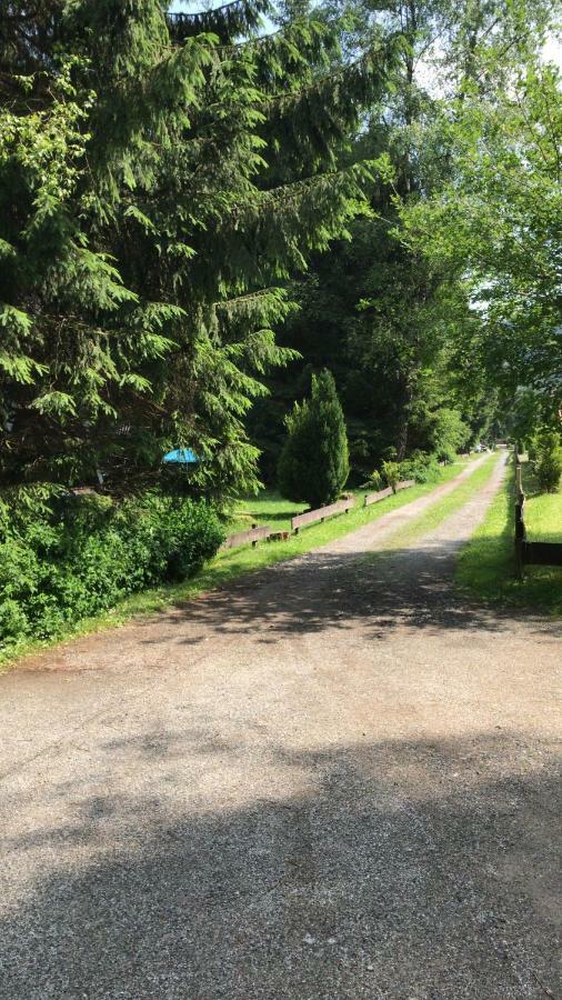 Ferienhaeuser Am Waldschloesschen Lautenthal Dış mekan fotoğraf